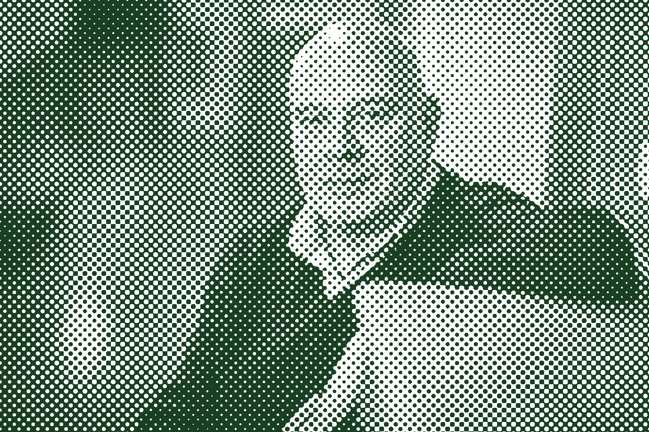 Affiche Ipoustéguy côté jardin